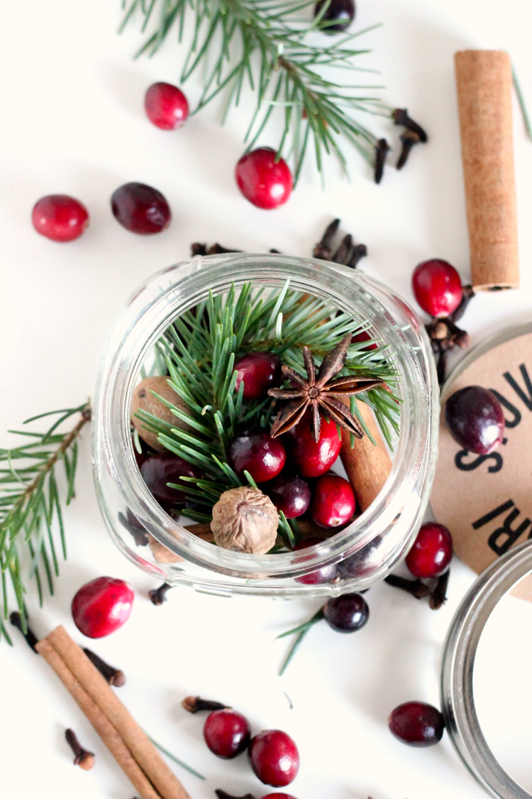 Stove Top Potpourri Neighbor Gifts - Three recipes + a free printable! // Delia Creates