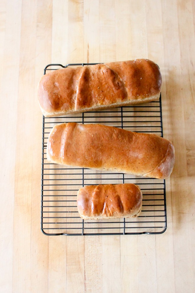 Best Bread EVER No Fail Recipe