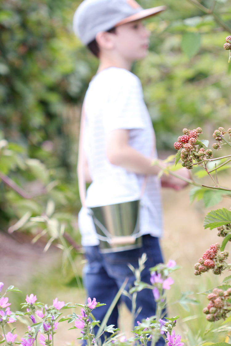 DIY Berry Bucket Tutorial