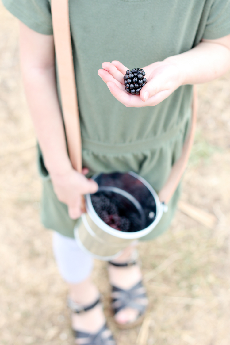 DIY Berry Bucket Tutorial