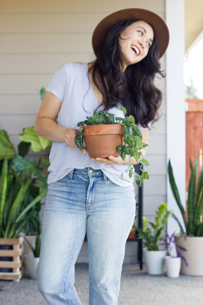 Six Easy Steps to Refresh Your Houseplants for Summer