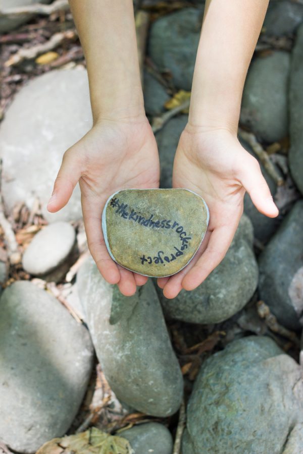 Kindness Rocks Project