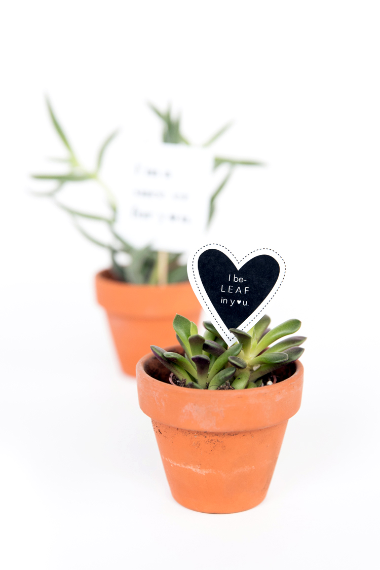 Plant Valentines - FREE PRINTABLE // www.deliacreates.com