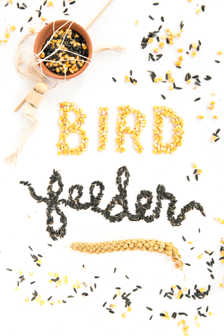 Video Tutorial: Simple Modern Bird Feeder // www.deliacreates.com + tips for finding peanut free bird seed 