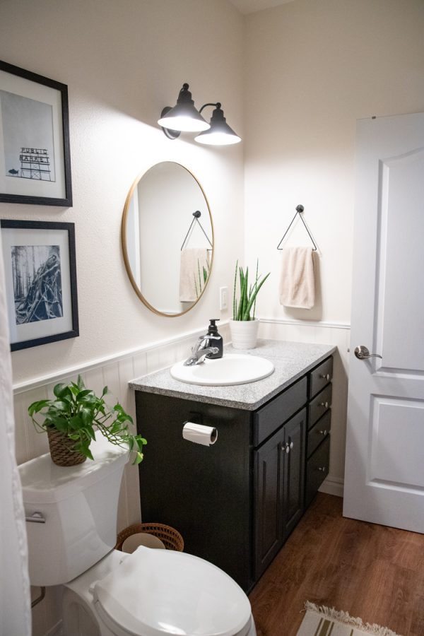 DIY Bathroom Makeover on a Budget, Part 1 – Chalk paint cabinets ...