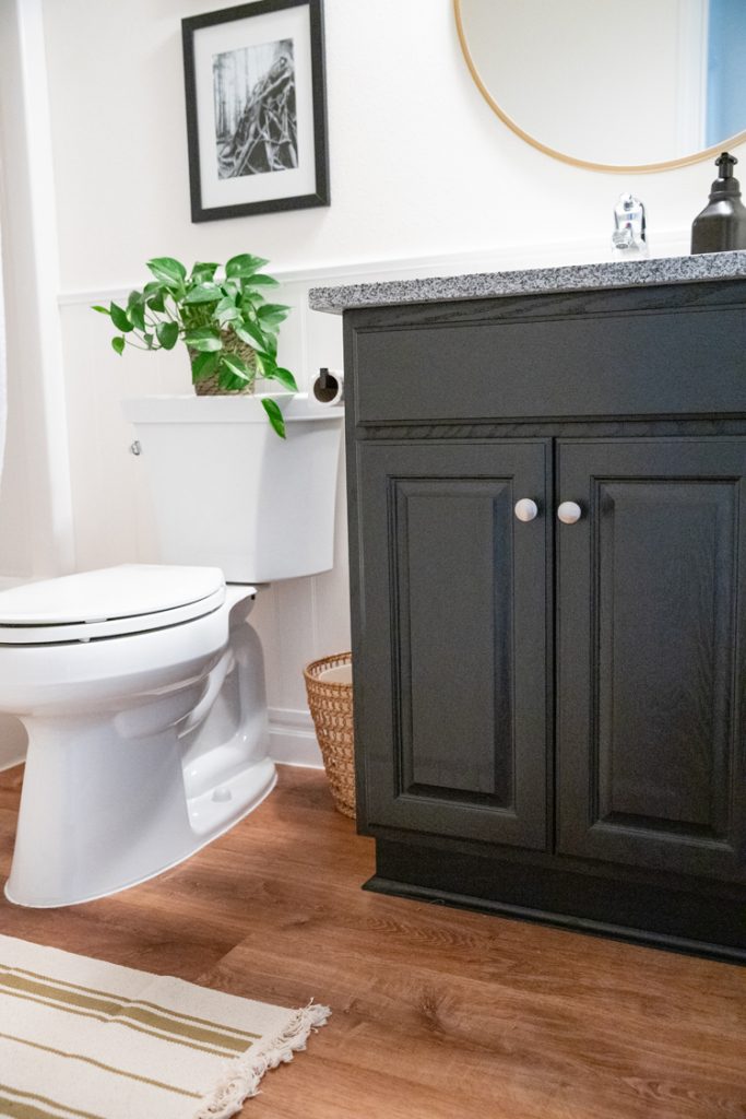 DIY Bathroom Makeover on a Budget, Part 1 Chalk paint