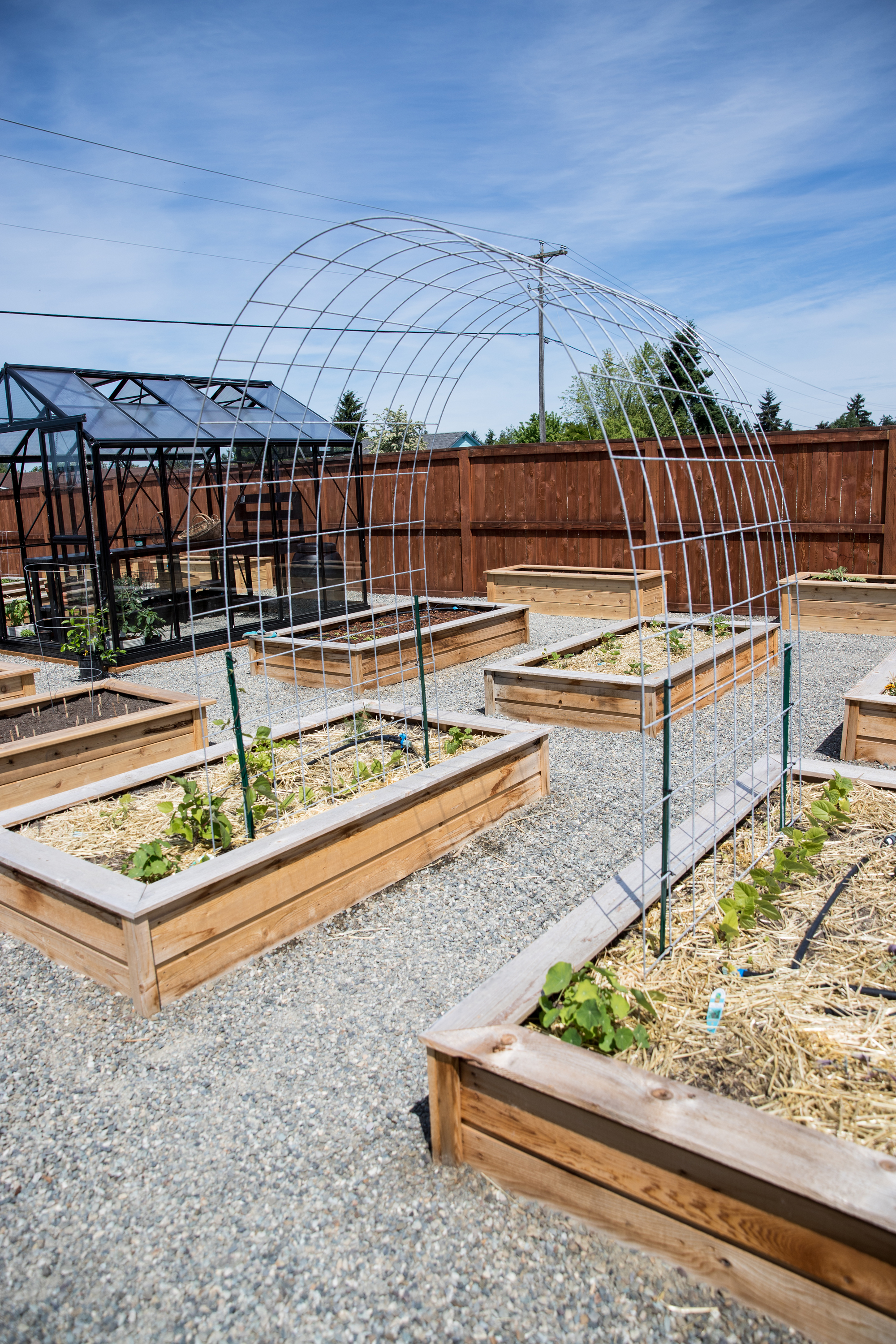 Raised Bed Garden Arch Trellis - Easy Step by step Tutorial // www.deliacreates.com