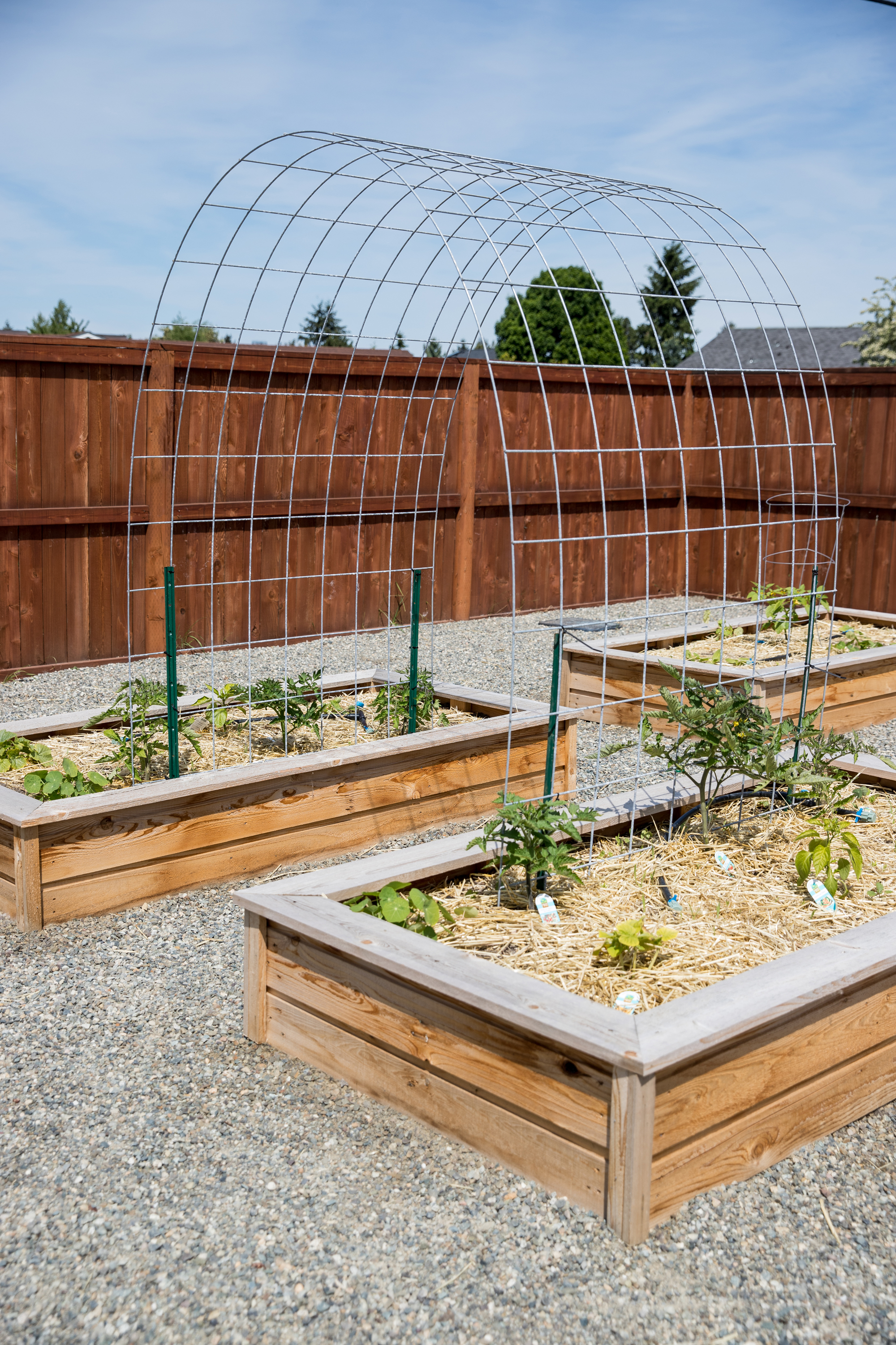 Raised Bed Garden Arch Trellis - Easy Step by step Tutorial // www.deliacreates.com