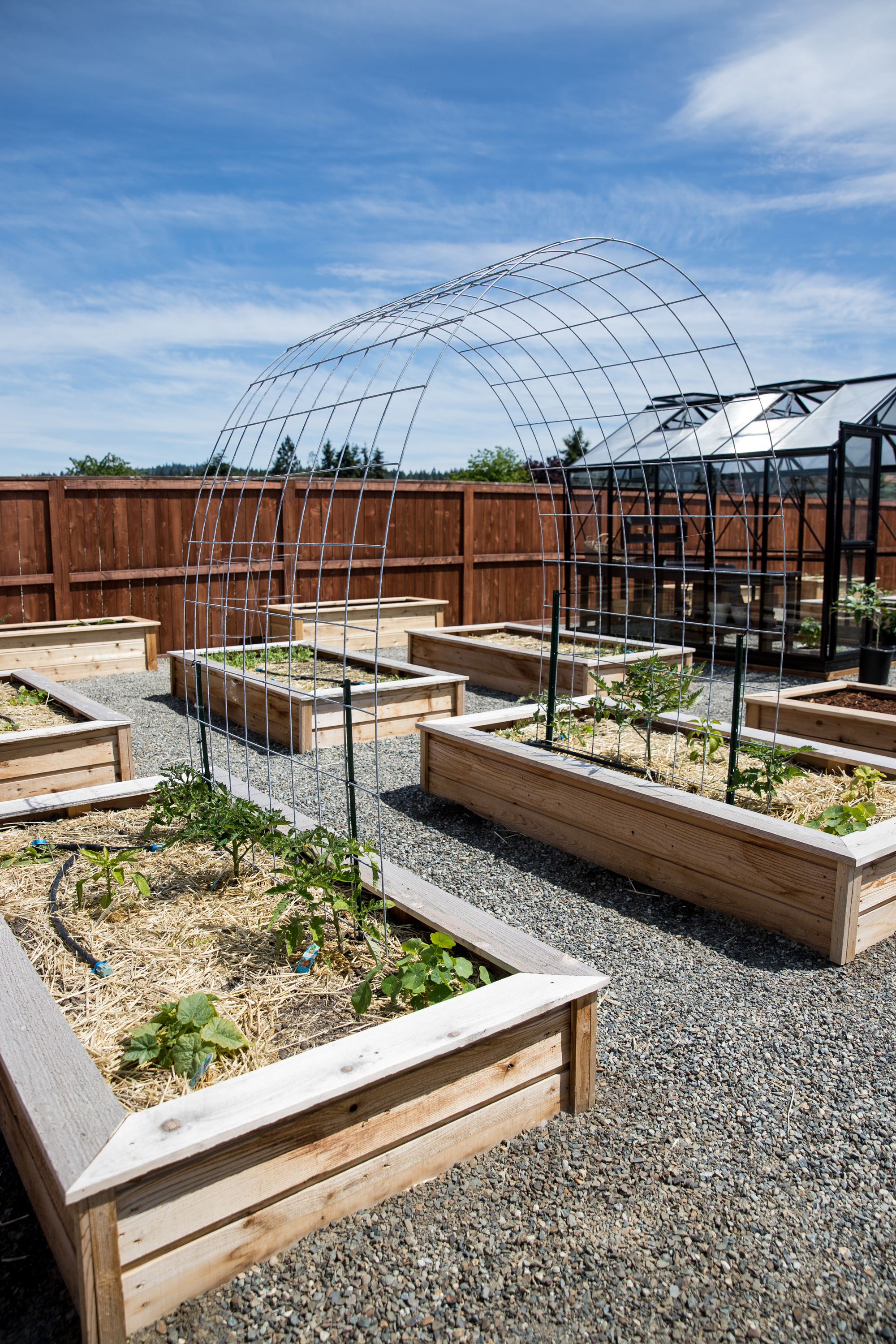 Raised Bed Garden Arch Trellis - Easy Step by step Tutorial // www.deliacreates.com