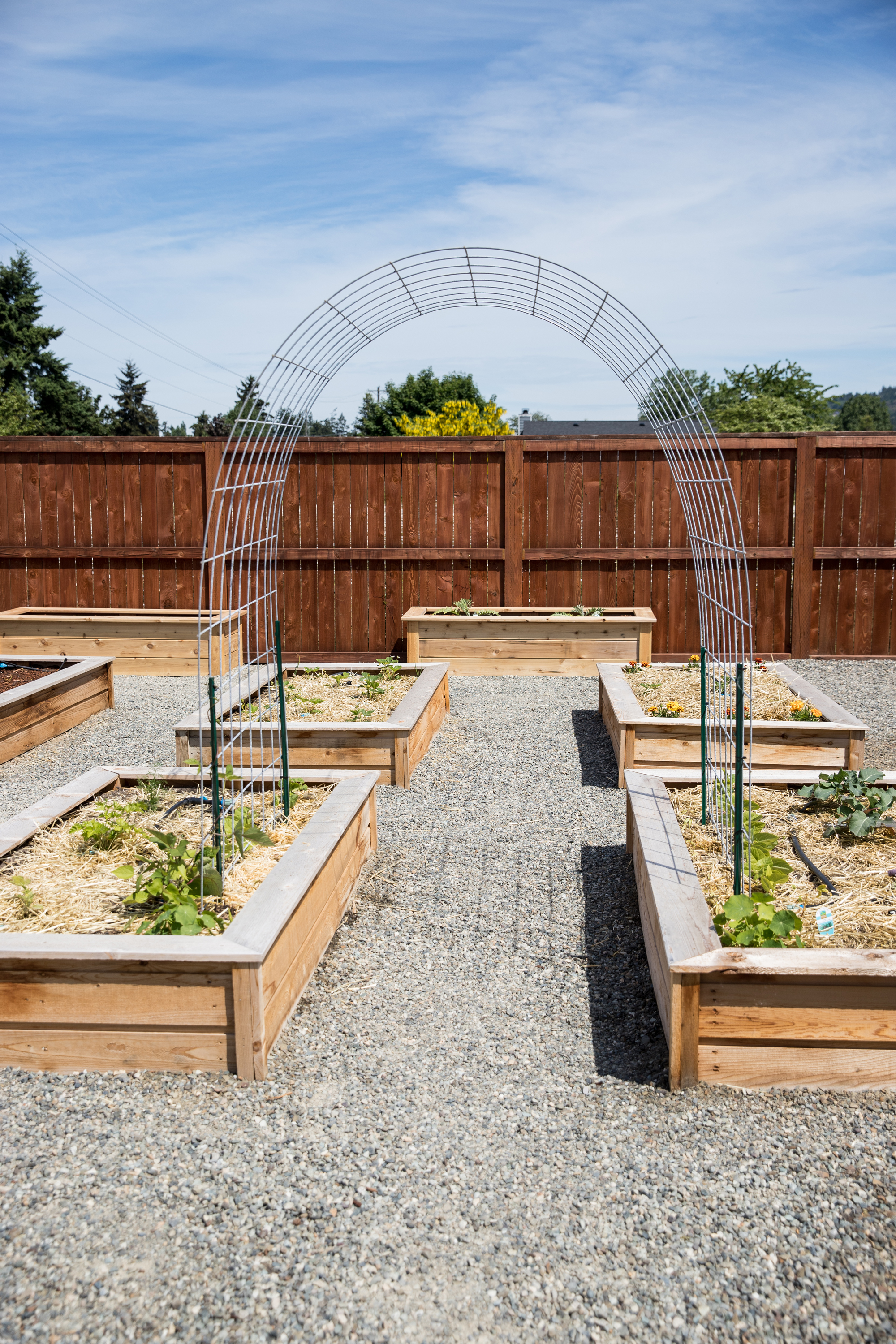 Raised Bed Garden Arch Trellis - Easy Step by step Tutorial // www.deliacreates.com