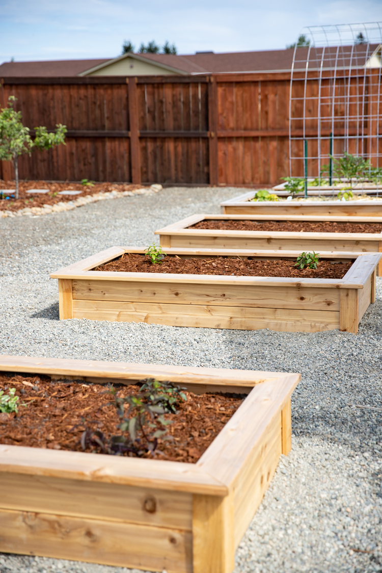 How To Make Cedar Raised Garden Beds // www.deliacreates.com// step by step tutorial with pictures, and tips on where to buy inexpensive lumber