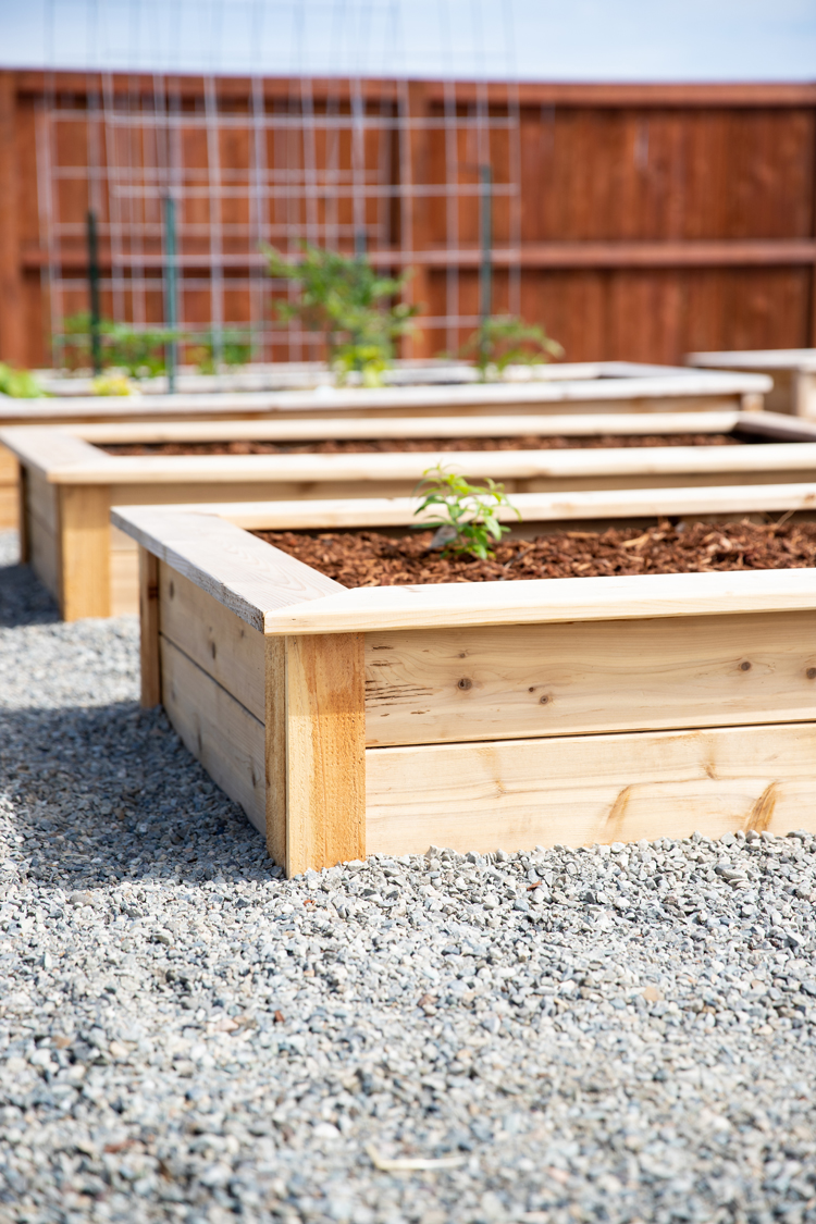 How To Make Cedar Raised Garden Beds // www.deliacreates.com// step by step tutorial with pictures