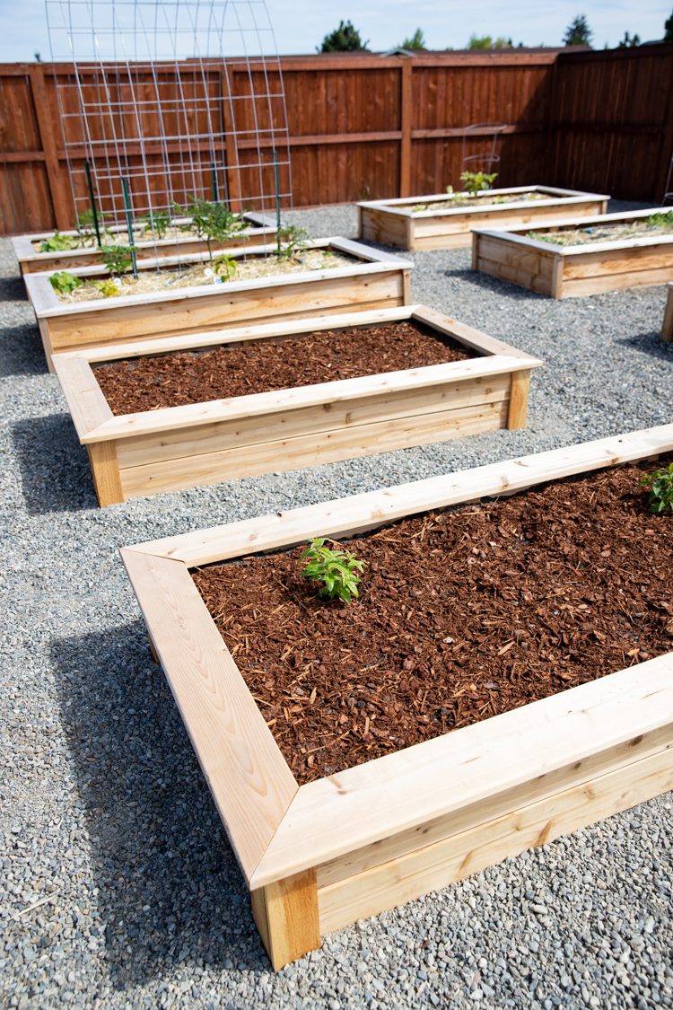 How To Make Cedar Raised Garden Beds // www.deliacreates.com// step by step tutorial with pictures