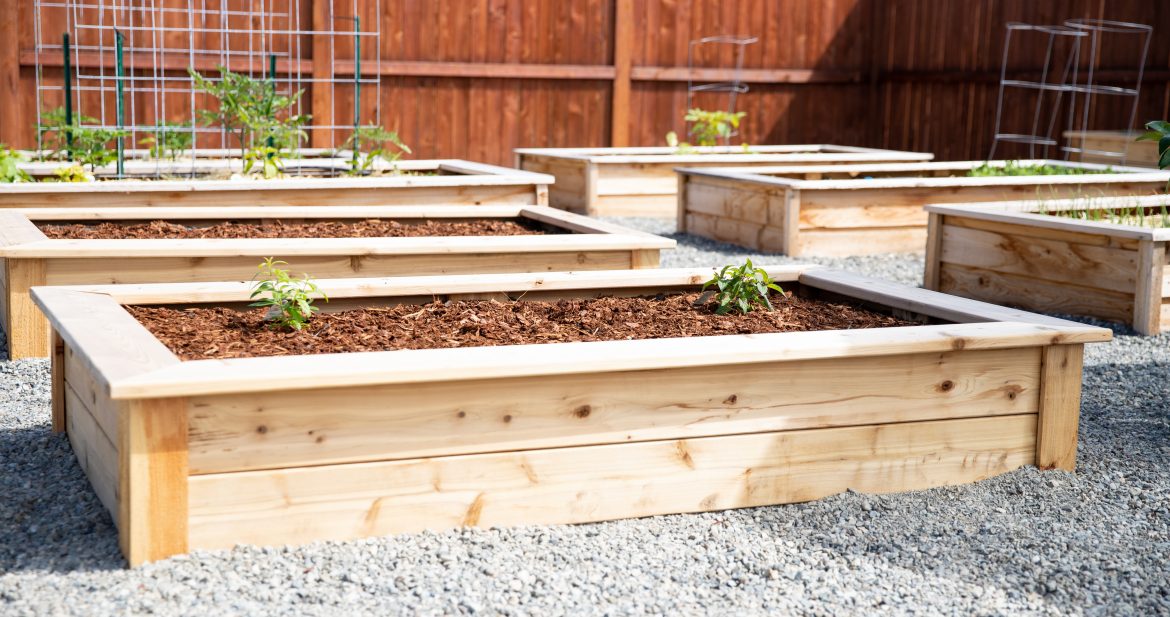 How To Make Cedar Raised Garden Beds