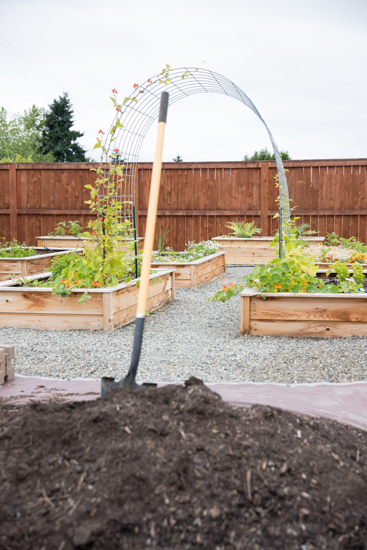 How to save money on soil for your raised beds // www.deliacreates.com