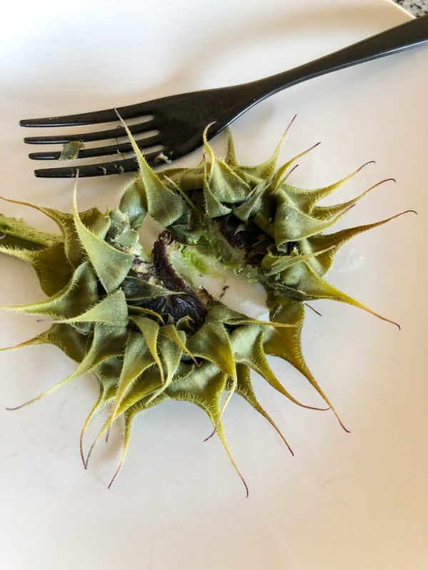 How to Roast a Sunflower Head