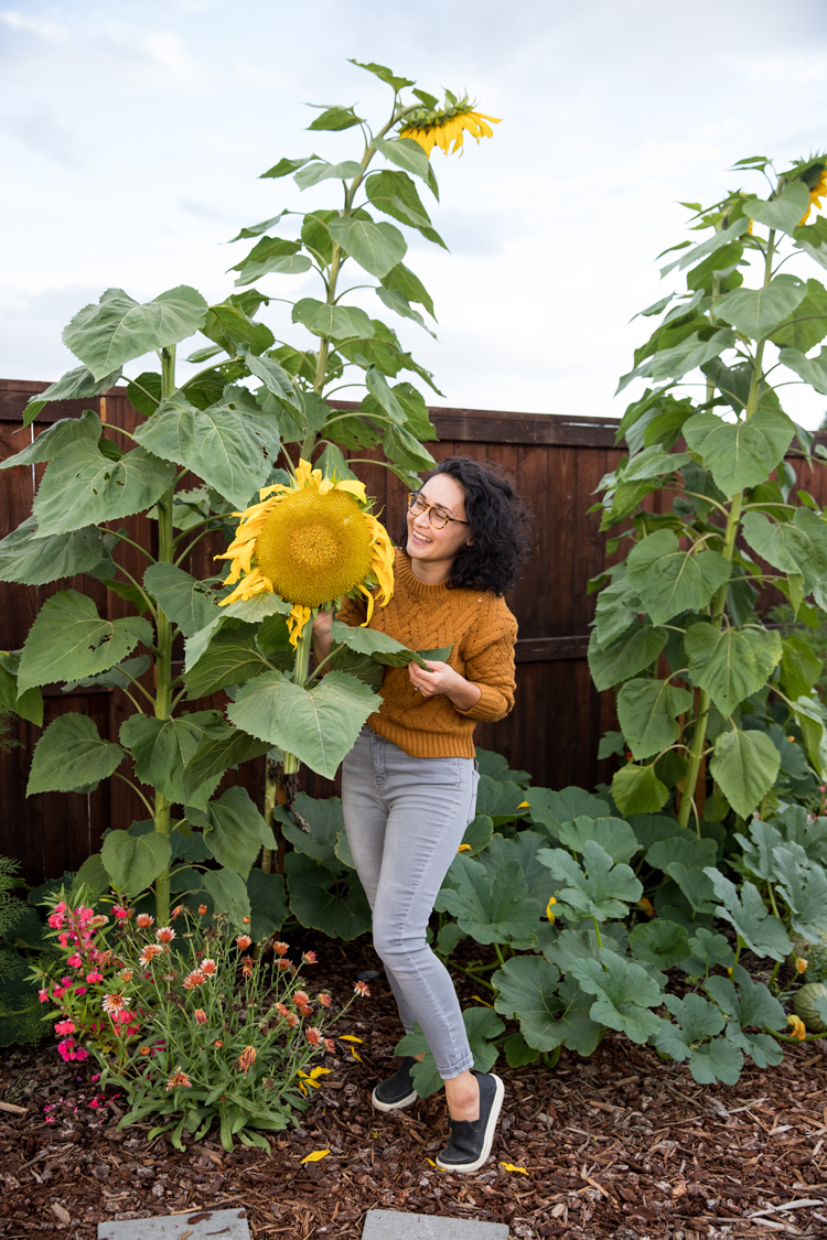 How To Roast a Sunflower Head // www.deliacreates.com