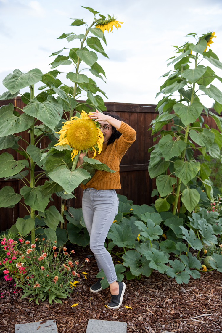 How To Roast a Sunflower Head // www.deliacreates.com