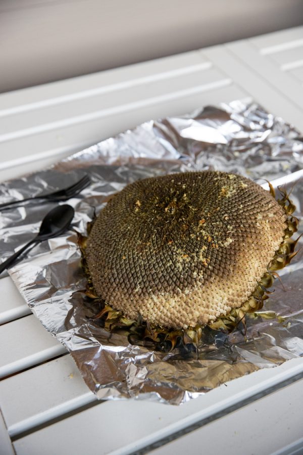How to Roast a Sunflower Head