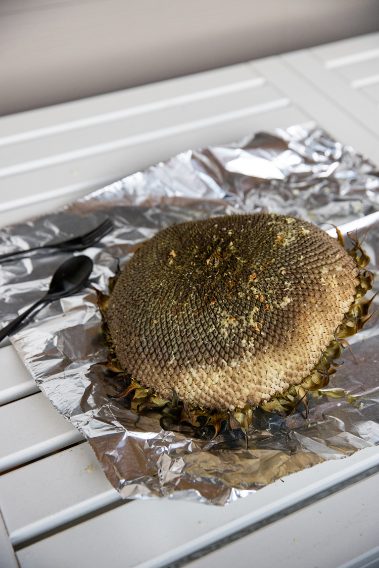 How To Roast a Sunflower Head // www.deliacreates.com