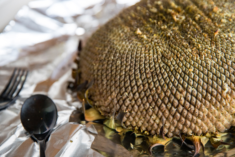 How To Roast a Sunflower Head // www.deliacreates.com