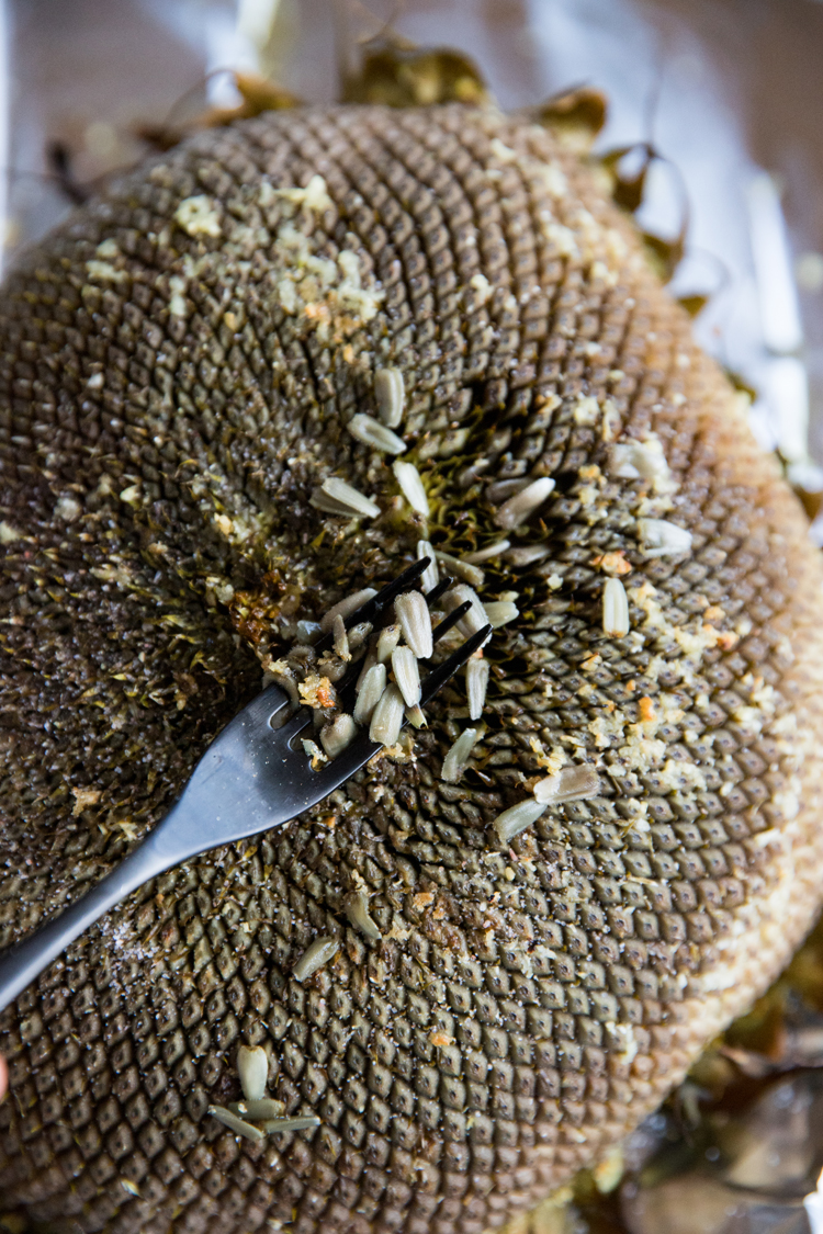 How To Roast a Sunflower Head // www.deliacreates.com