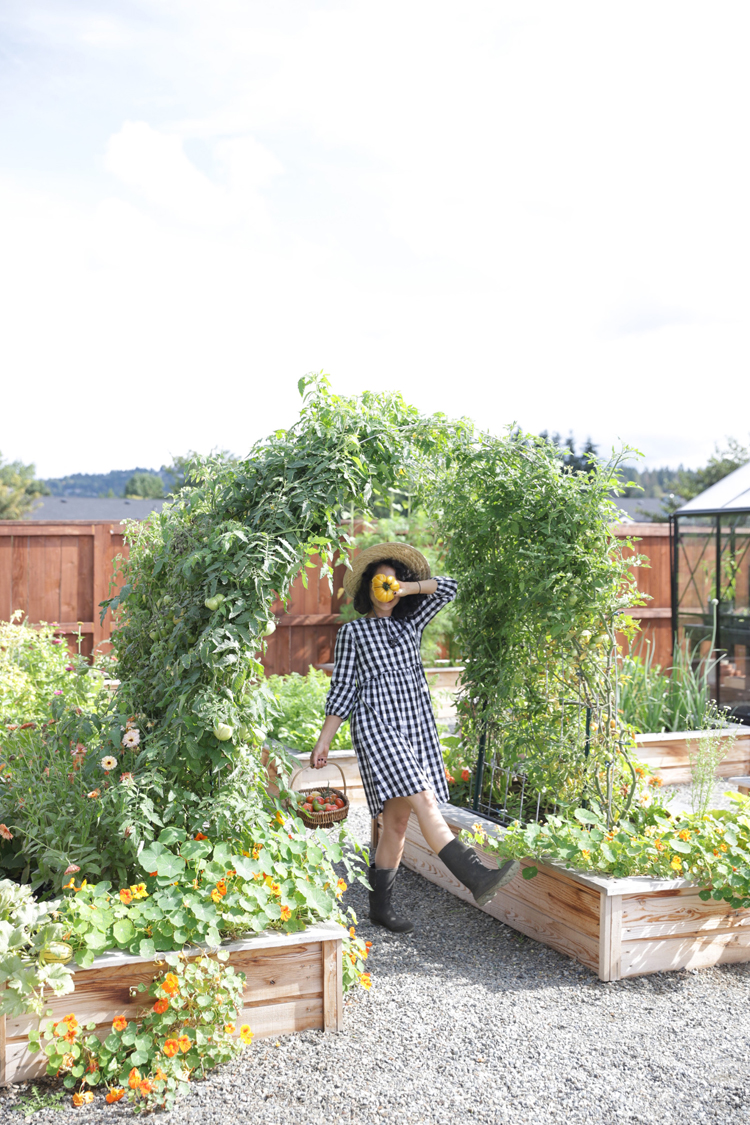 Raised Bed Garden Arch Trellis TUTORIAL// www.deliacreates.com