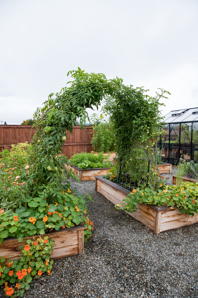 Raised Bed Garden Arch Trellis TUTORIAL// www.deliacreates.com