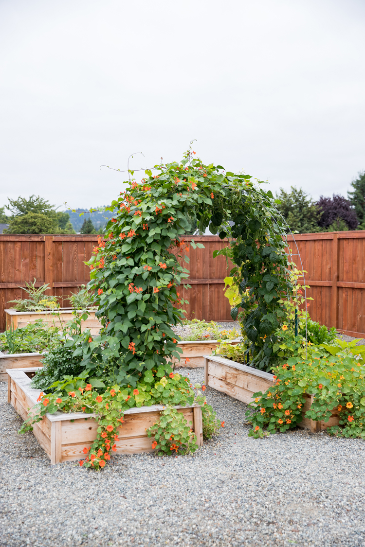 Raised Bed Garden Arch Trellis TUTORIAL// www.deliacreates.com