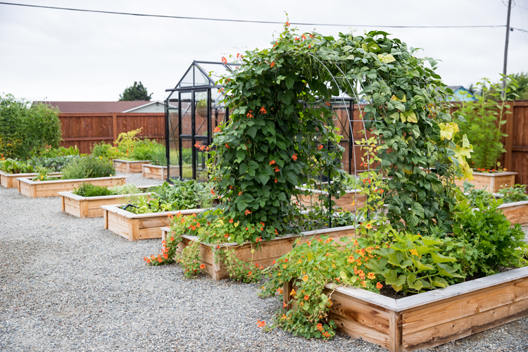 Raised Bed Garden Arch Trellis TUTORIAL// www.deliacreates.com