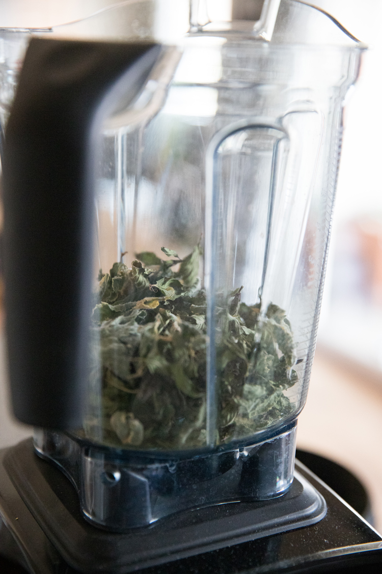 How to grow and dry your own tea // www.deliacreates.com