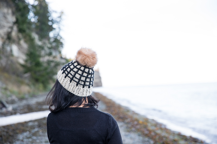 Window Pane Crochet Beanie - free pattern & video tutorial // www.deliacreates.com