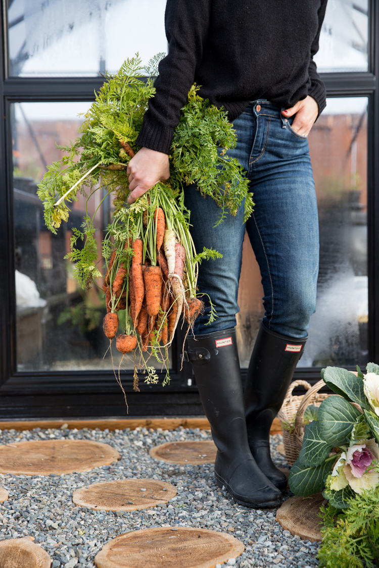 Overwintering Carrots // www.deliacreates.com