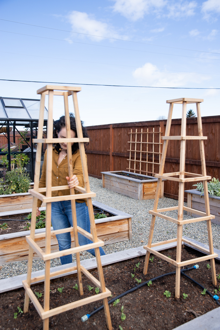 Tower Garden Trellis Tutorial // www.deliacreates.com