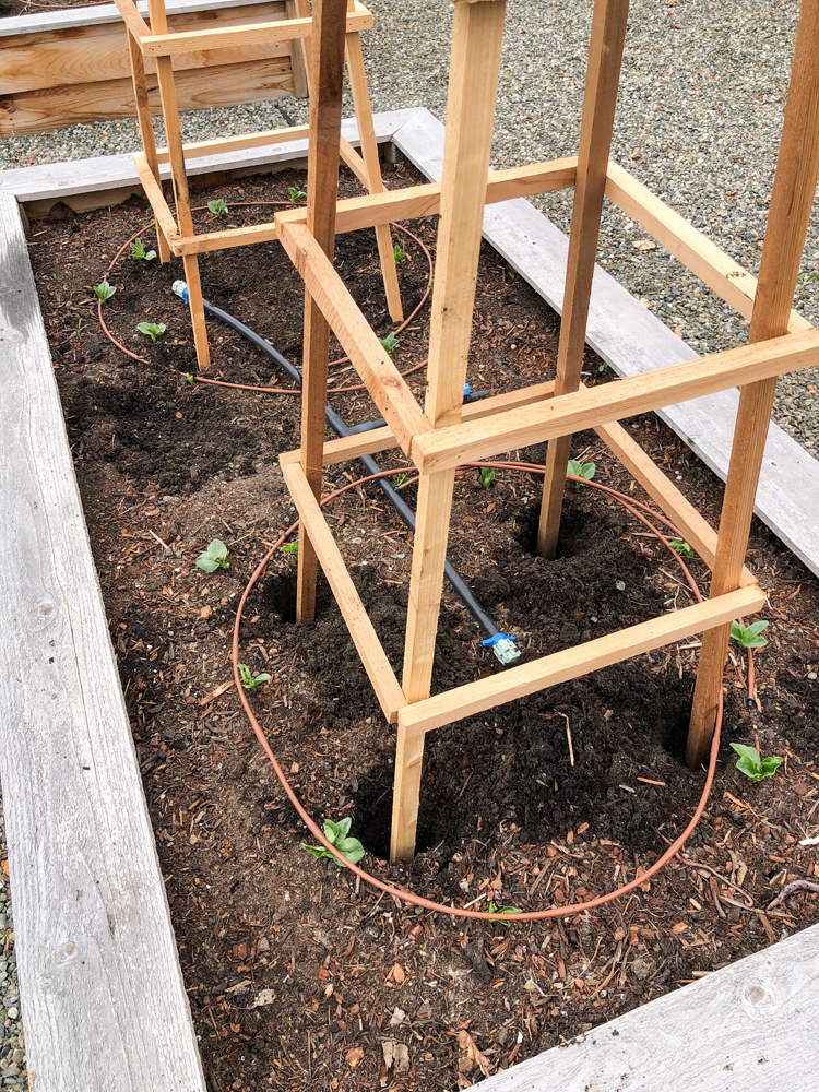Tower Garden Trellis Tutorial // www.deliacreates.com