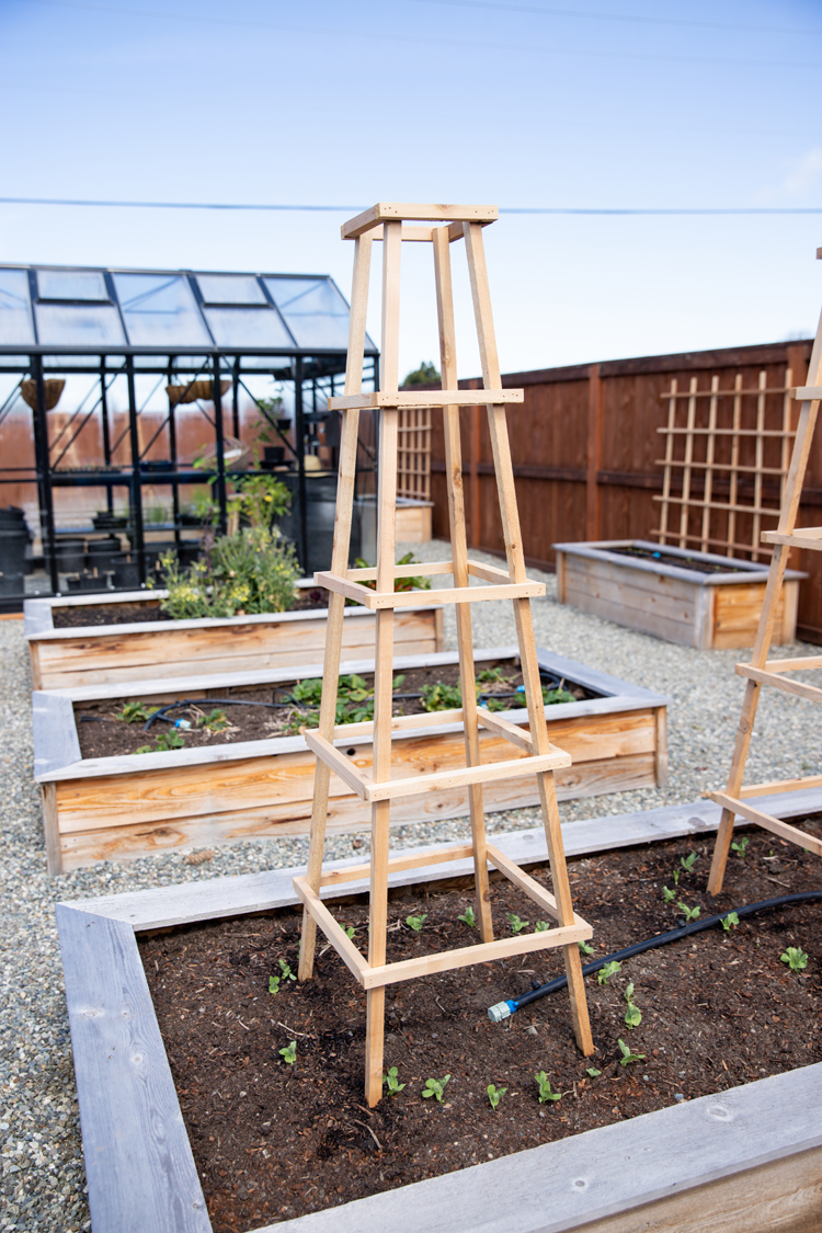 Tower Garden Trellis Tutorial // www.deliacreates.com