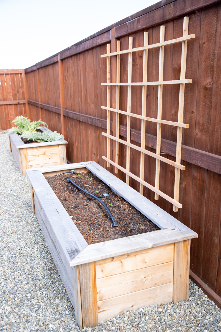 Lattice Garden Trellis Tutorial // www.deliacreates.com