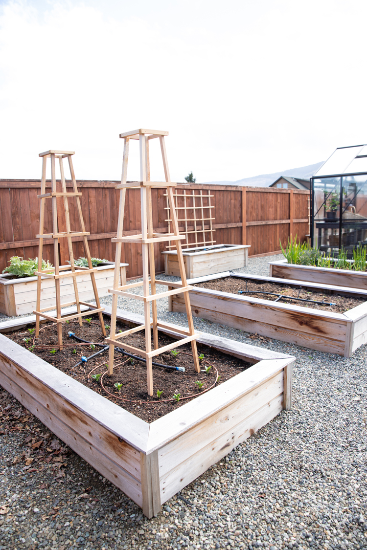 Tower Garden Trellis Tutorial // www.deliacreates.com
