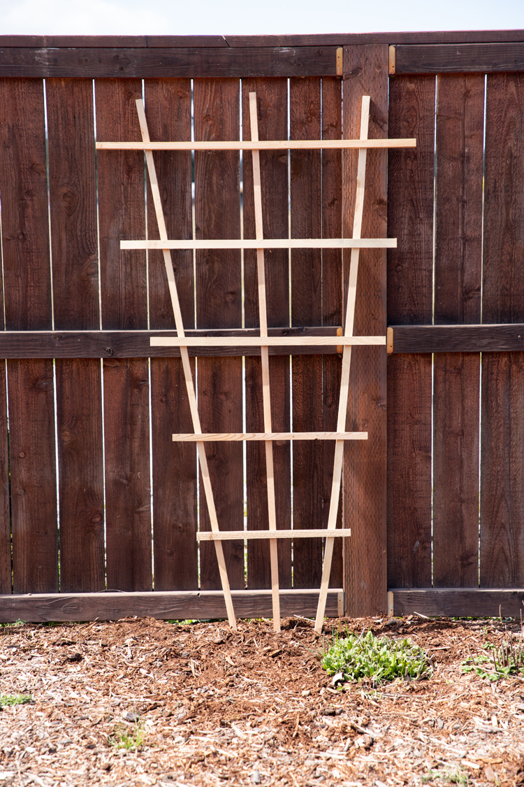 Lattice Garden Trellis Tutorial // www.deliacreates.com