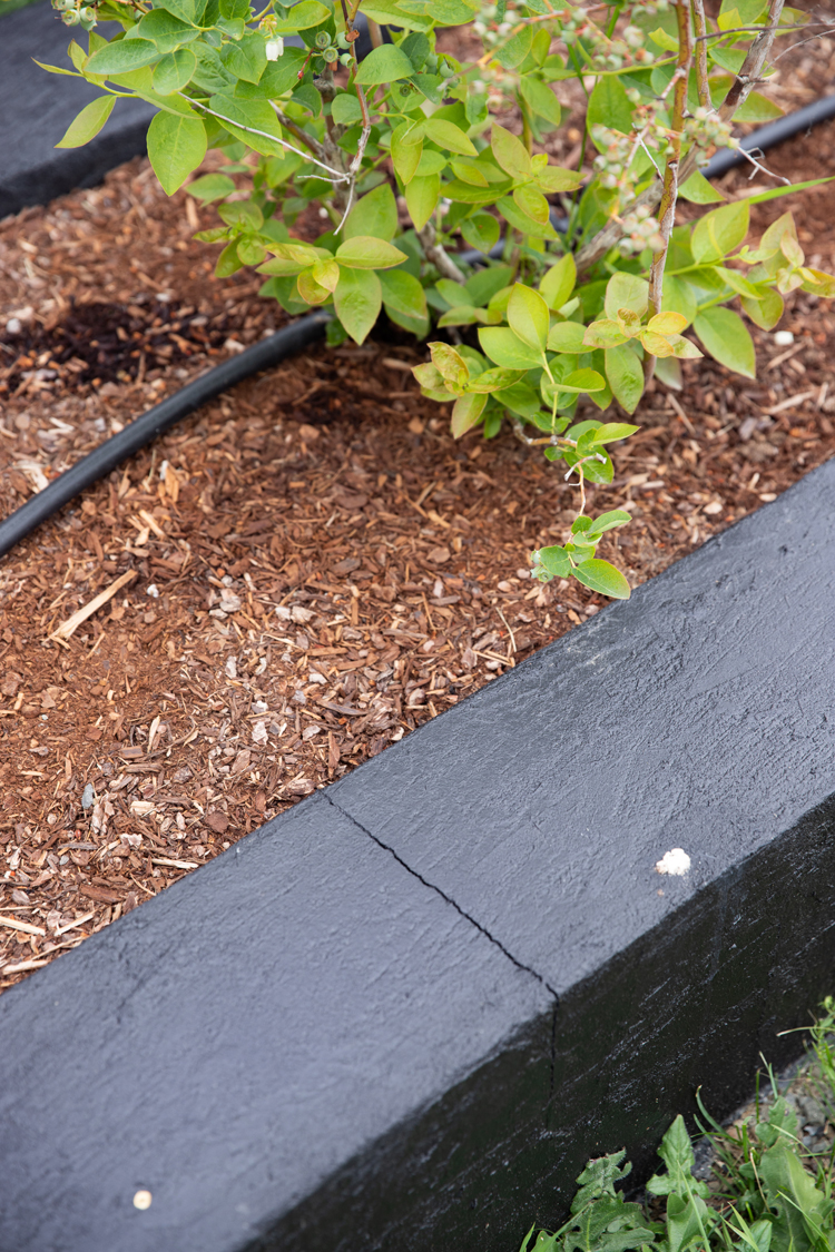 DIY Cement Garden Beds // www.deliacreates.com