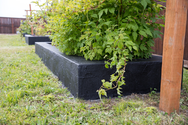 DIY Cement Garden Beds // www.deliacreates.com