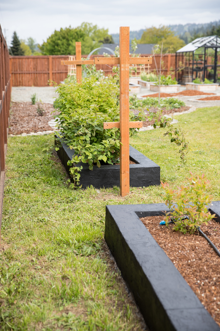 Image of Garden bed made from cinder blocks and old fencing