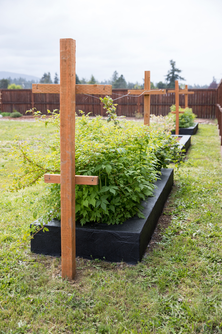 DIY Cement Garden Beds // www.deliacreates.com