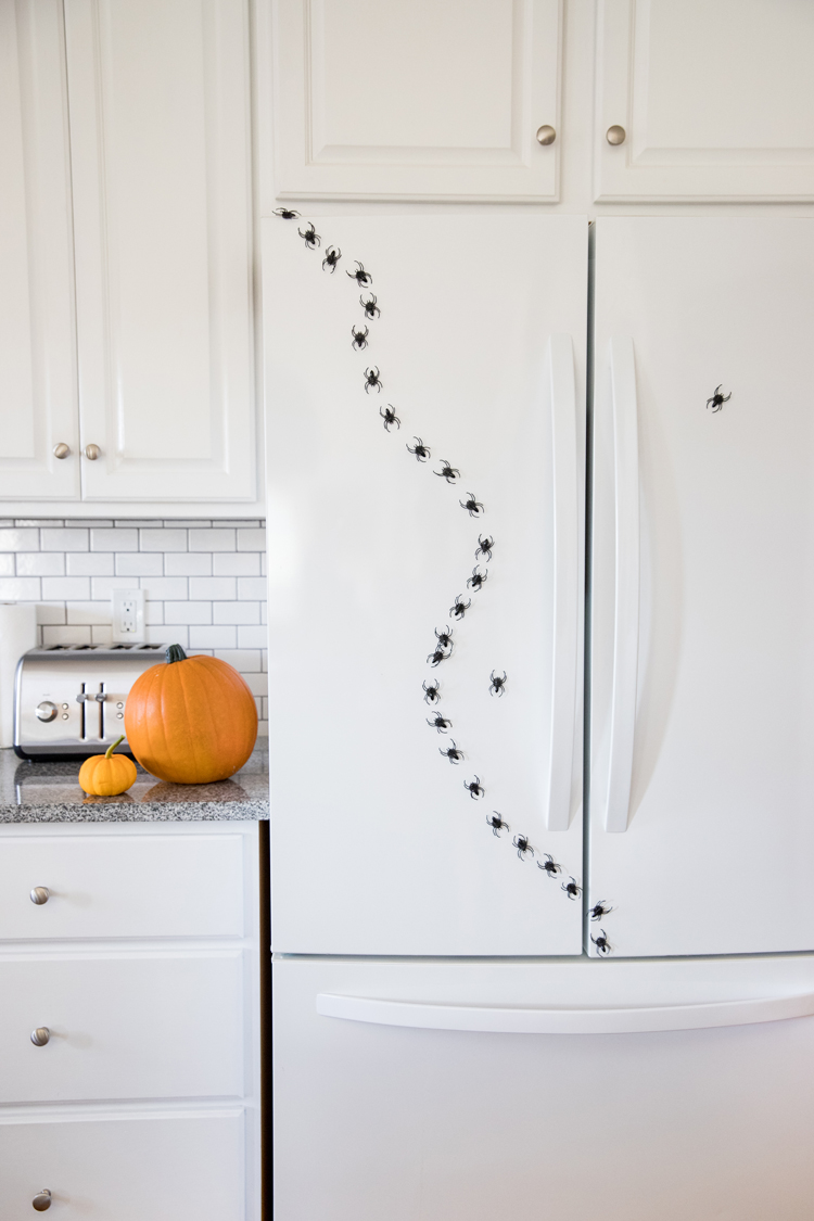 Easy Spider Magnet Craft + Halloween Decor // www.deliacreates.com