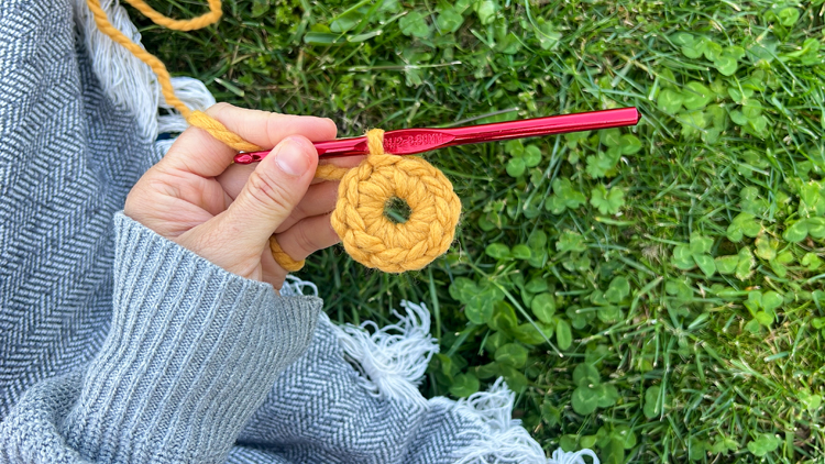 Daisy Chain Crochet Garland Tutorial // www.deliacreates.com