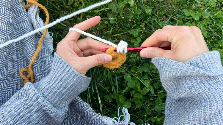 Daisy Chain Crochet Garland Tutorial // www.deliacreates.com