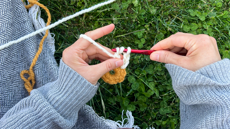 Daisy Chain Crochet Garland Tutorial // www.deliacreates.com
