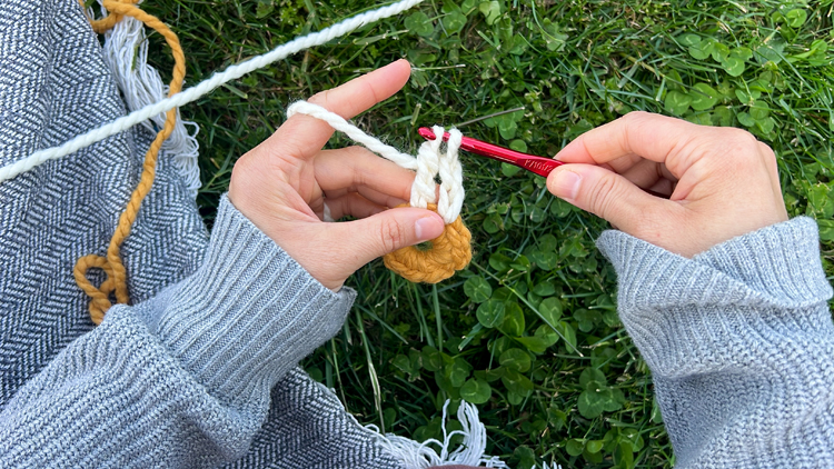 Daisy Chain Crochet Garland Tutorial // www.deliacreates.com