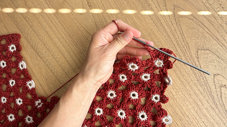 Crochet Daisy Top - FREE PATTERN Sizes Child XL - Adult XXL // www.deliacreates.com