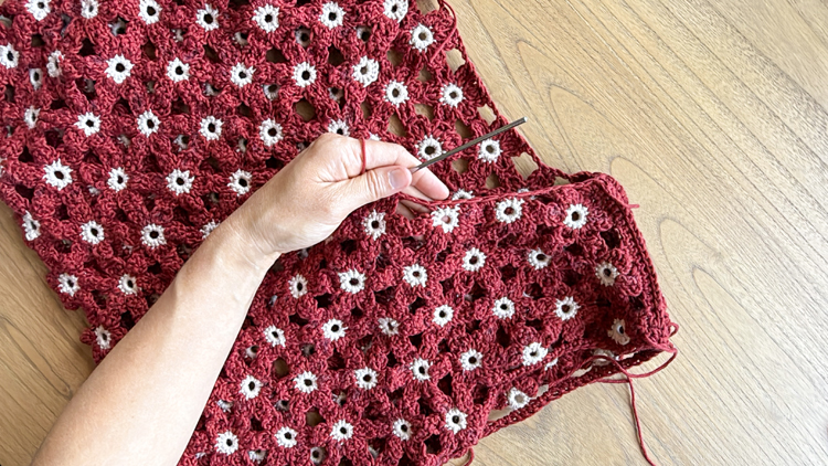 Crochet Daisy Top - FREE PATTERN Sizes Child XL - Adult XXL // www.deliacreates.com
